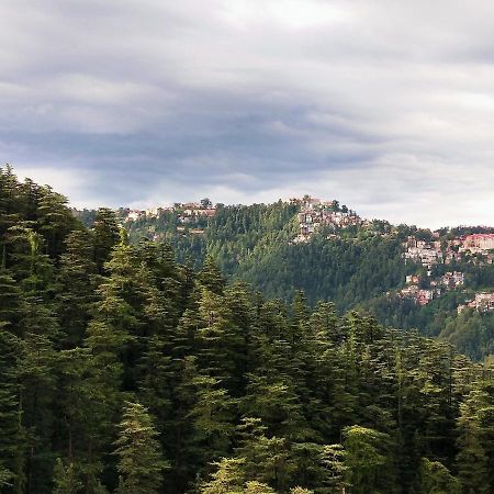 Neha Homestay Shimla Exterior foto