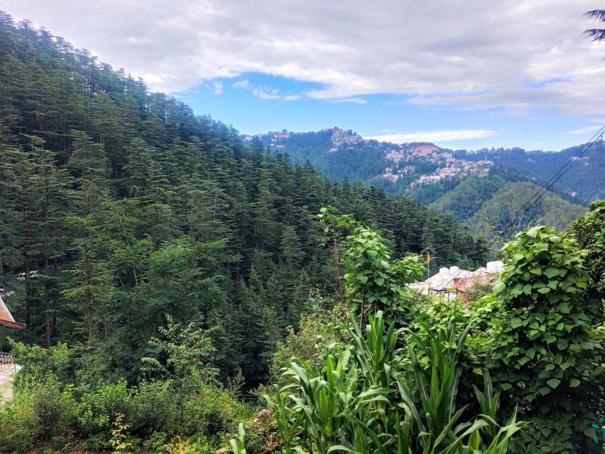 Neha Homestay Shimla Exterior foto
