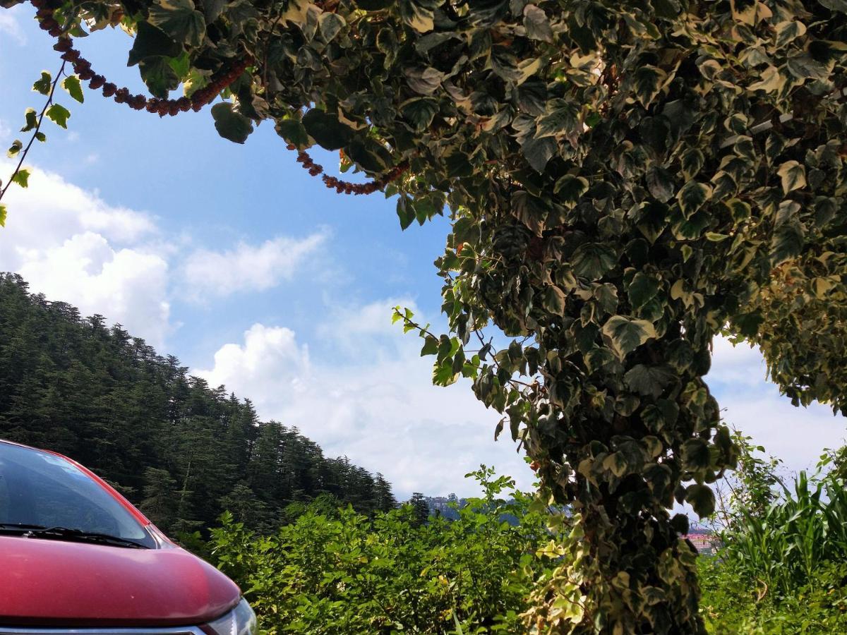 Neha Homestay Shimla Exterior foto