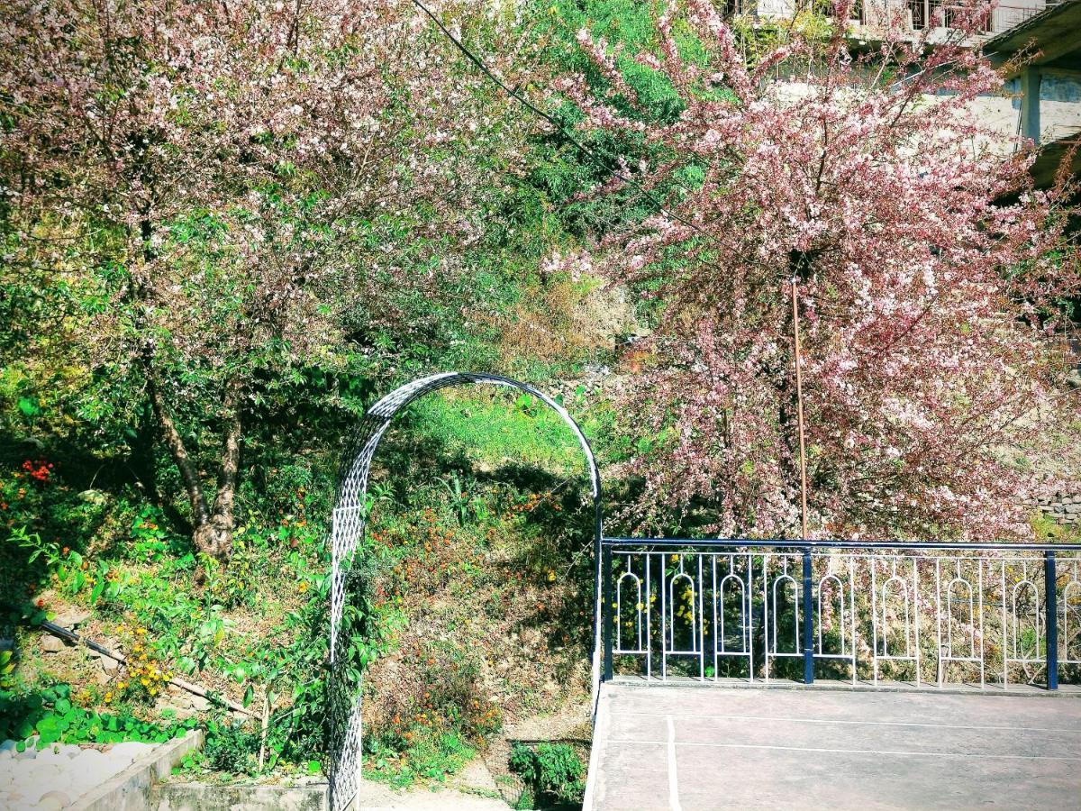 Neha Homestay Shimla Exterior foto