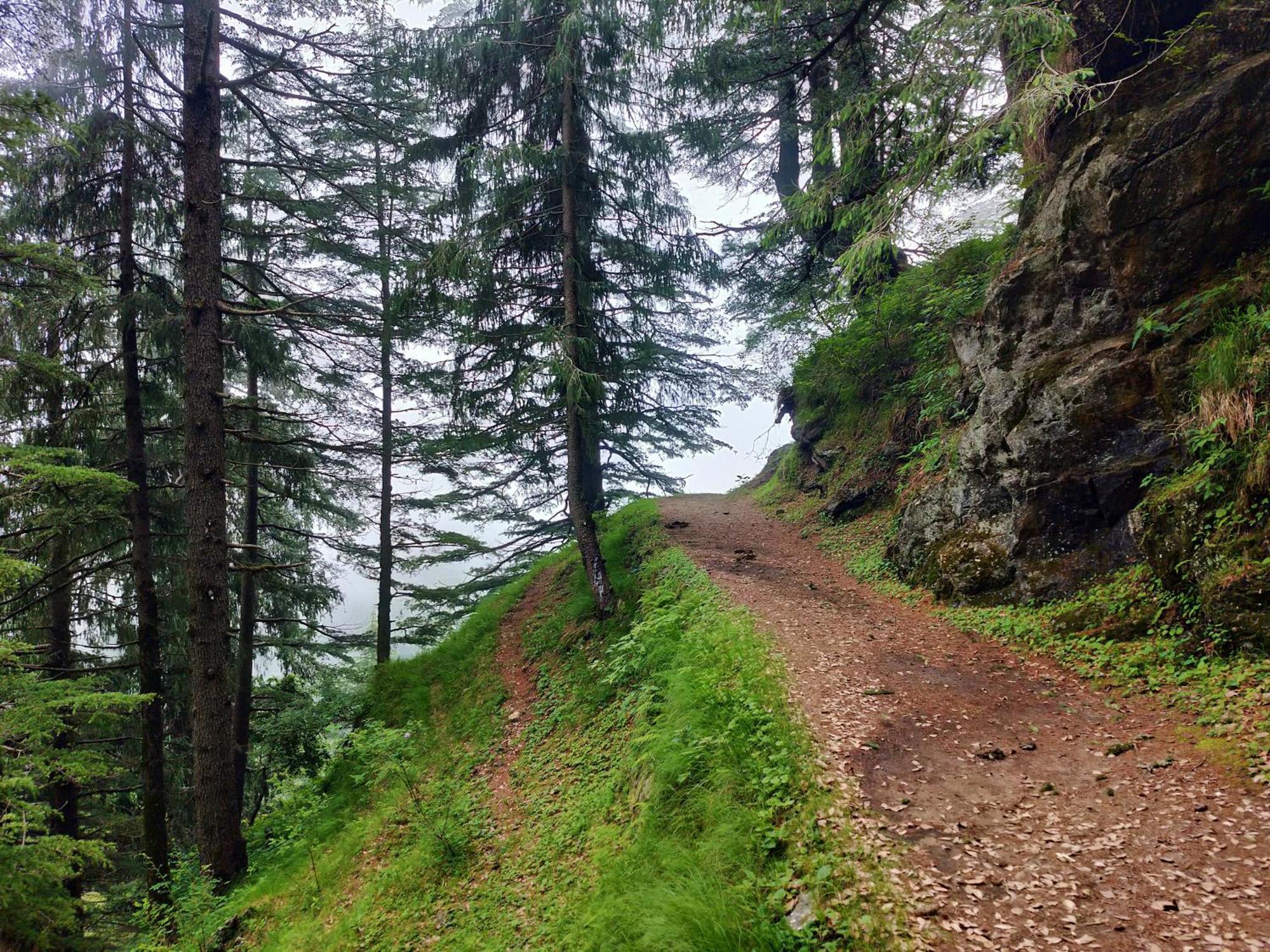 Neha Homestay Shimla Exterior foto